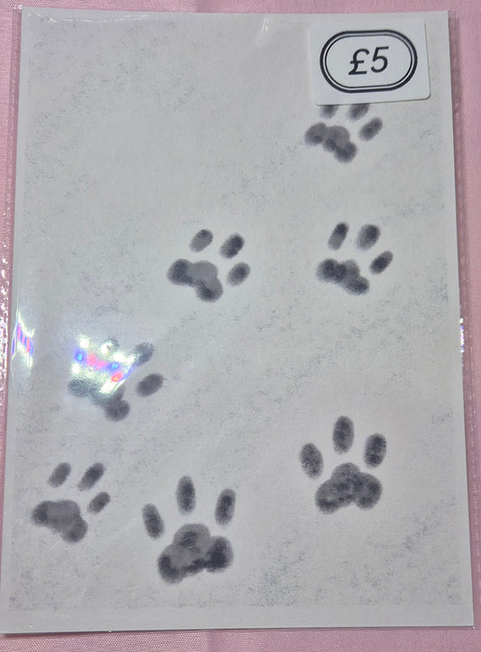 Snow paw prints